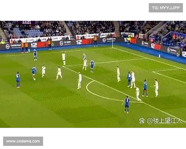 纽卡如火箭般升空却迅速坠地 队伍未来前景愈加黯淡无光 纽卡如火箭般升空却迅速坠地 队伍未来前景愈加黯淡无光